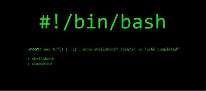 5 Best Programming Languages for Cyber Security/PenTesting (2024)