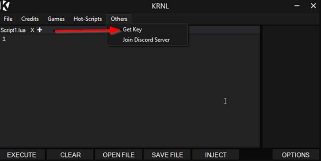 KRNL Keys Download