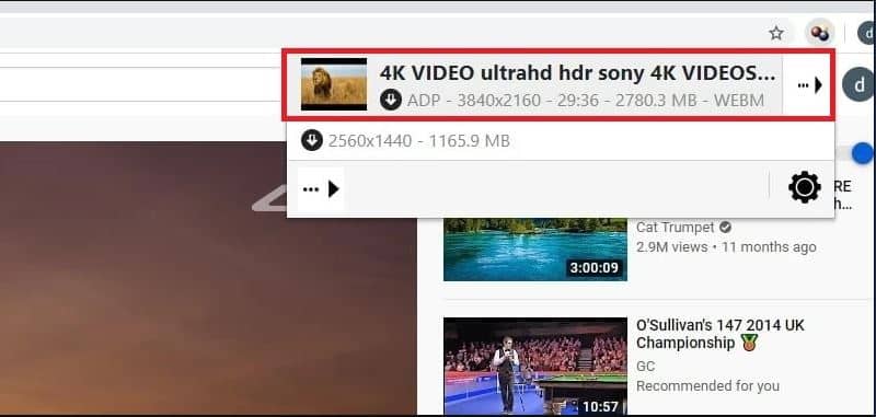 Best Chrome Video Downloader Extension